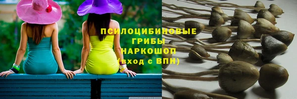 не бодяженный Зеленодольск